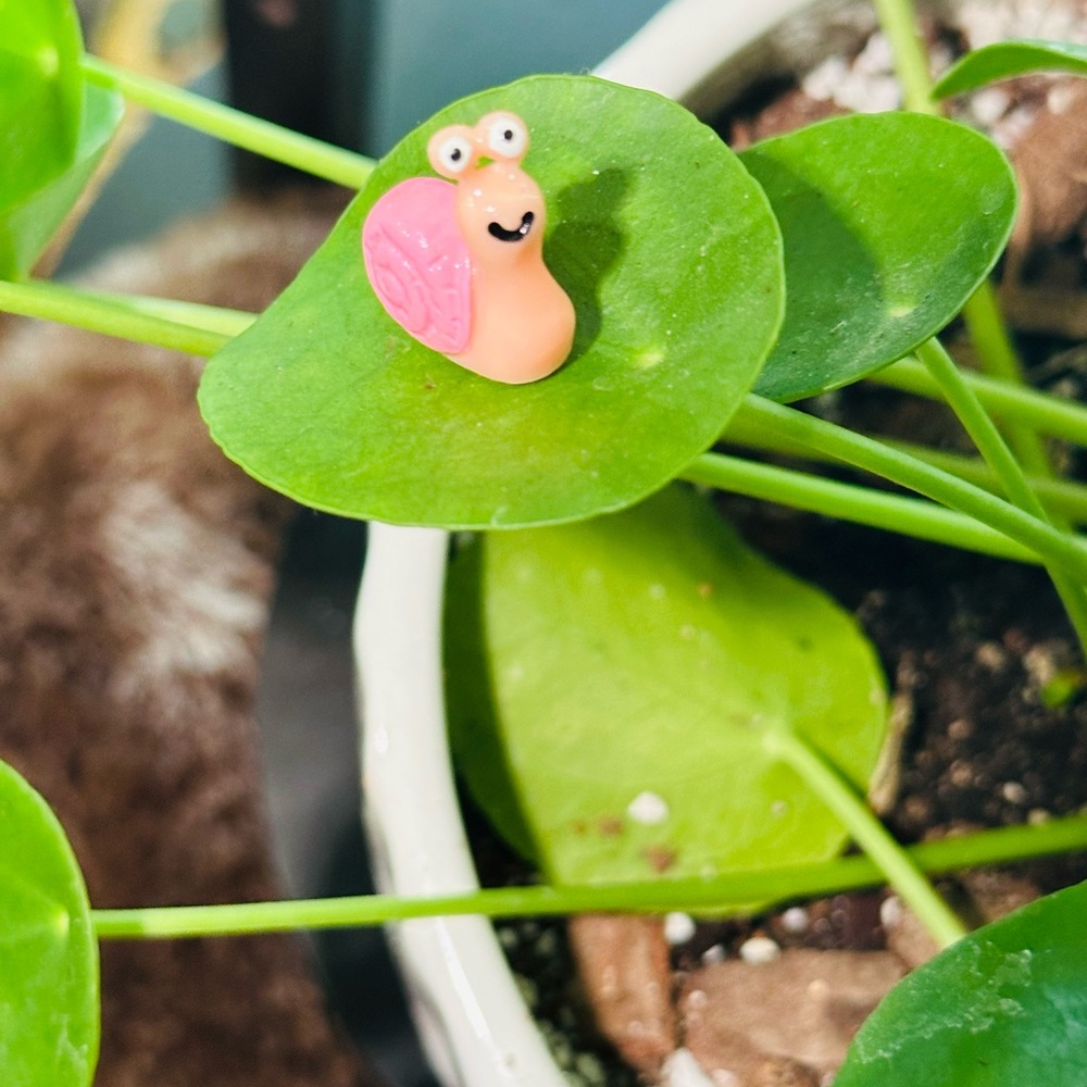 🍃30 pack of PetalPals plant Magnets🍃